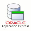 Oracle APEX Error